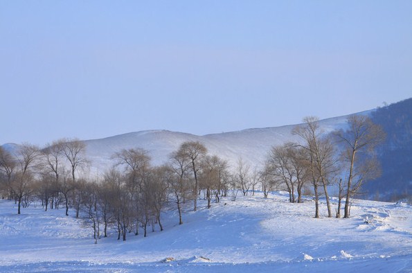 �������ϲ�ԭ