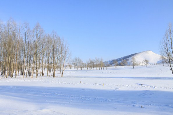 �������ϲ�ԭ