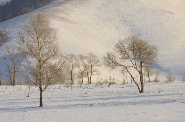 �������ϲ�ԭ