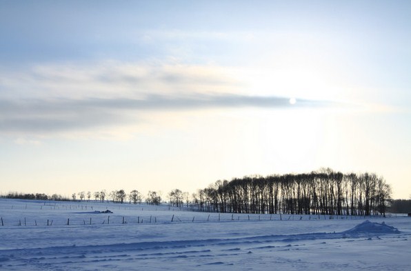 �������ϲ�ԭ