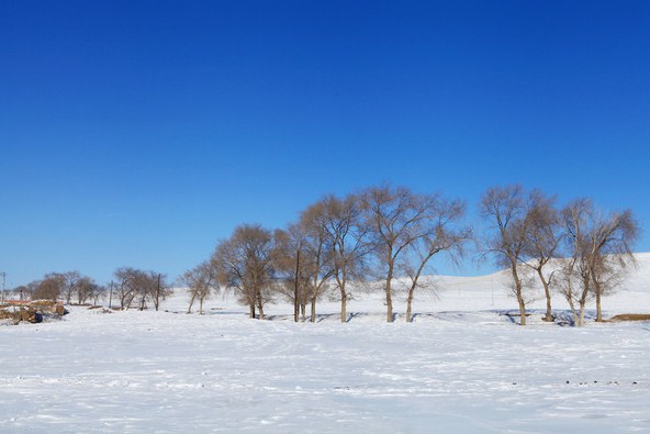 �������ϲ�ԭ