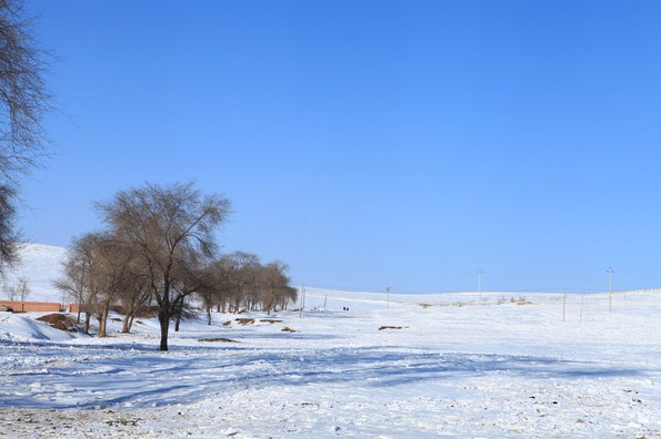 �������ϲ�ԭ