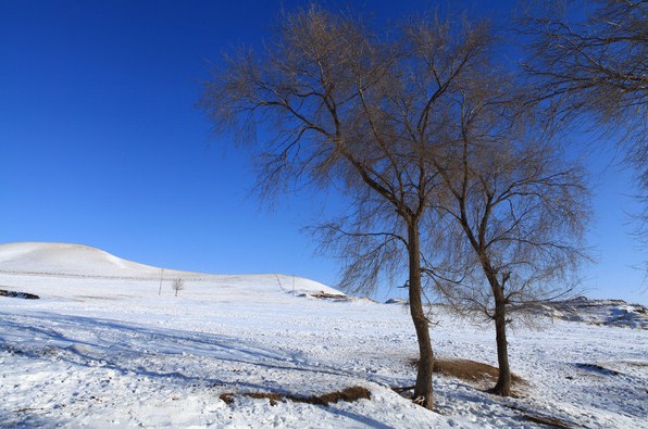 �������ϲ�ԭ