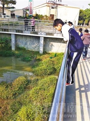 Img363780050.jpg