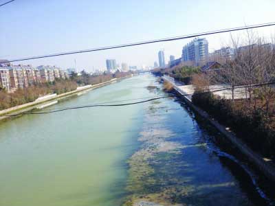 Img364911040.jpg