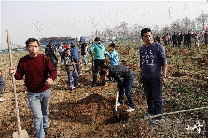 μ��ֲ����