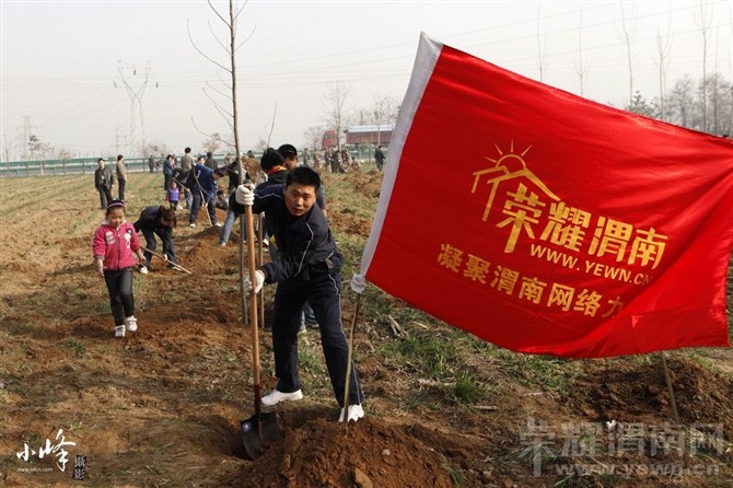 μ��ֲ����