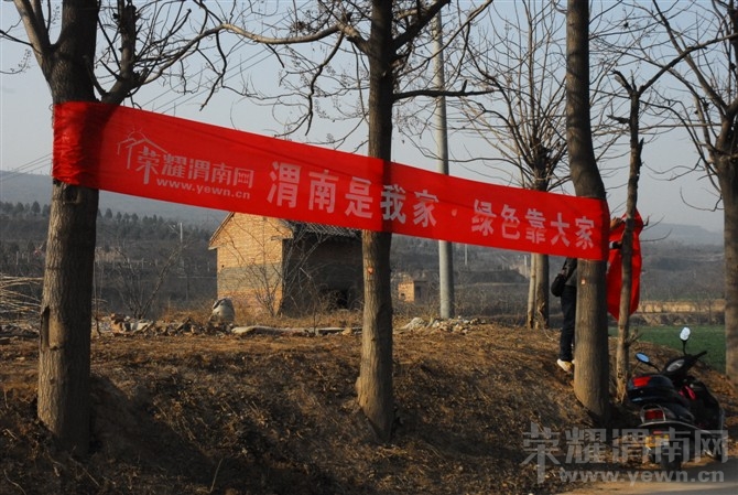 μ��ֲ����