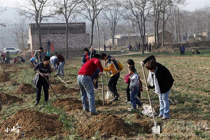 μ��ֲ����