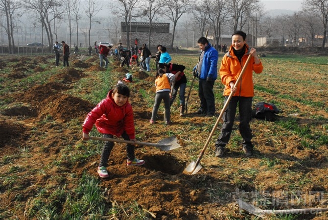 μ��ֲ����