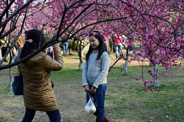 ��������������