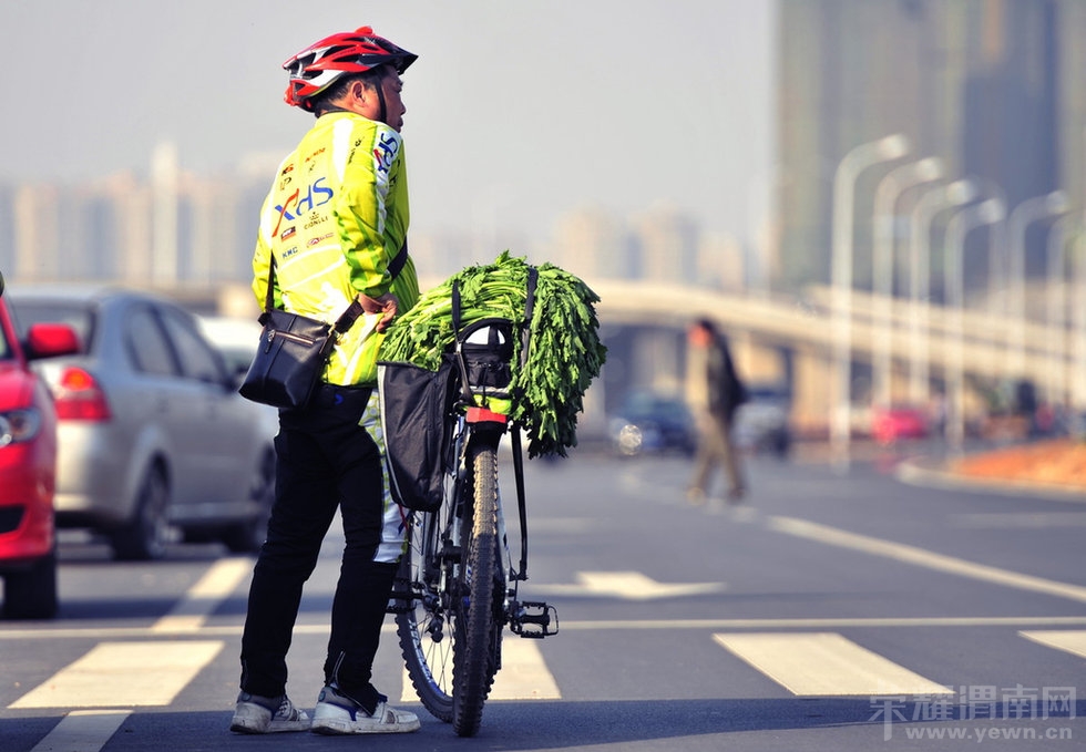 n2013680836511513bd5a35a04e_original.jpg