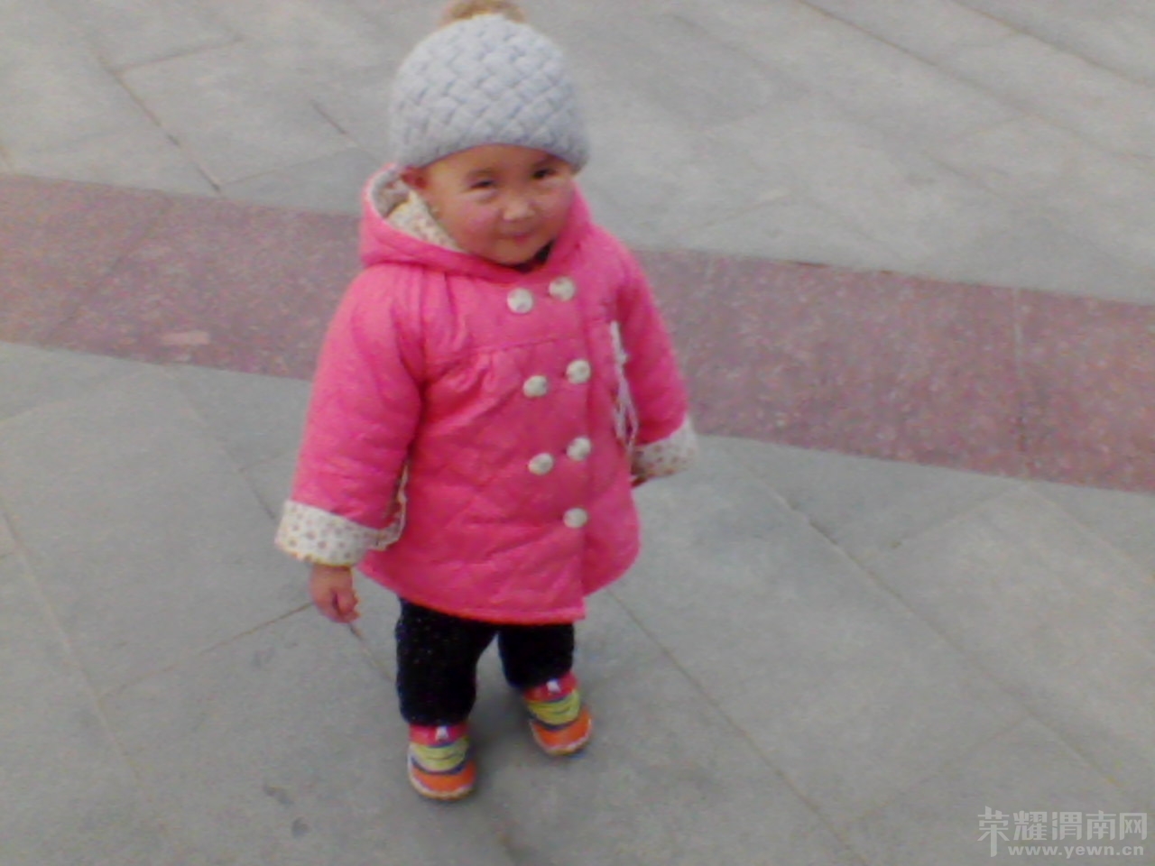 IMG00024.jpg