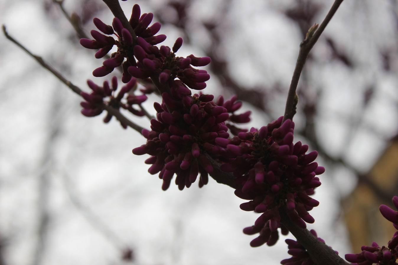 ������С IMG_0459.JPG