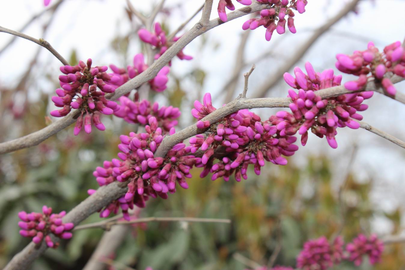 ������С IMG_0460.JPG