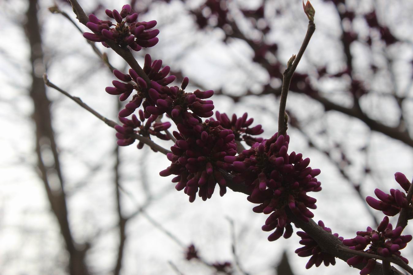 ������С IMG_0461.JPG