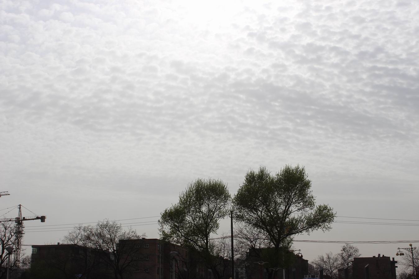 ������С IMG_0470.JPG