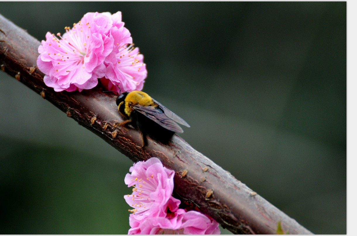 ���Ի���