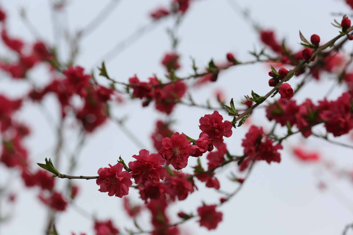 ��Ƭ 059jpg39.jpg