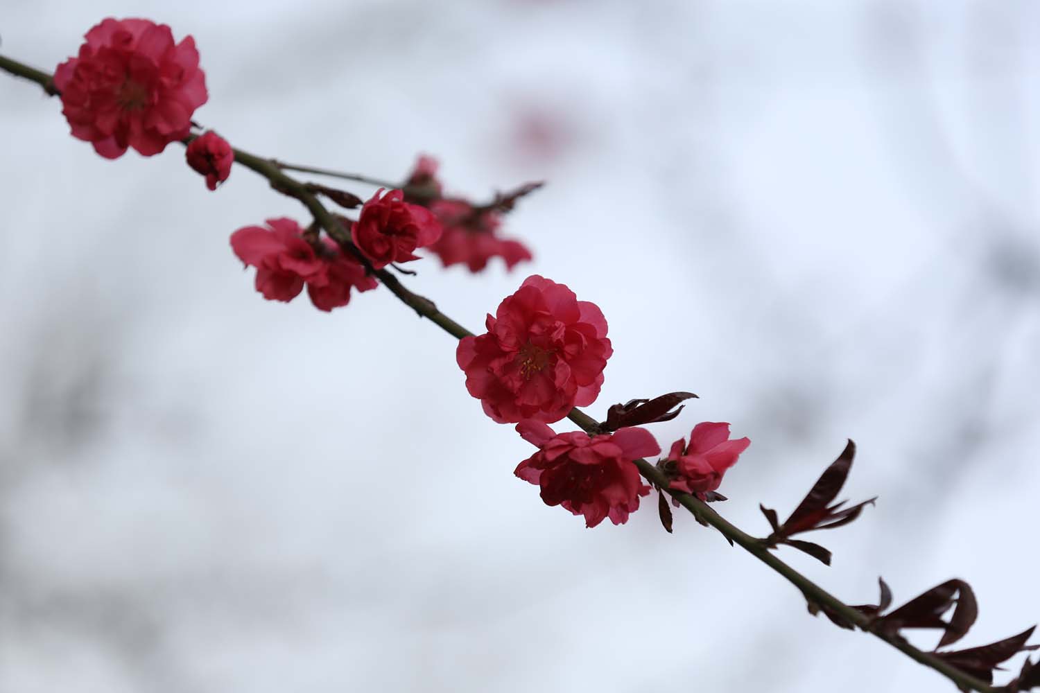 ��Ƭ 017jpg6.jpg