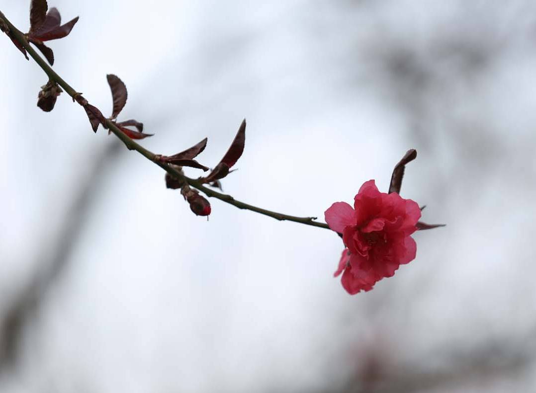 ��Ƭ 018jpg7.jpg