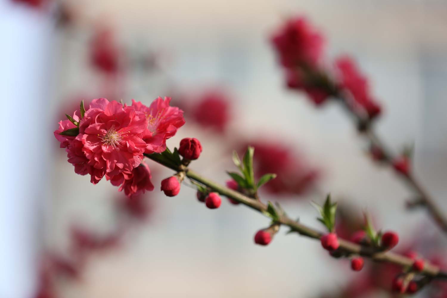 ��Ƭ 021jpg9.jpg