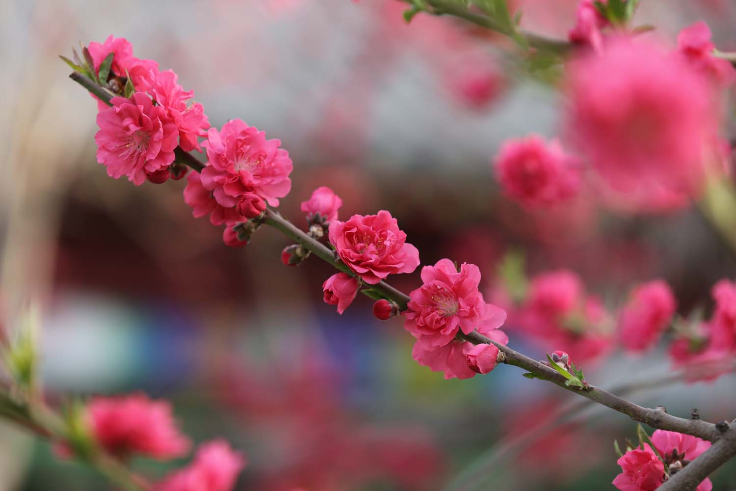 ��Ƭ 022jpg10.jpg