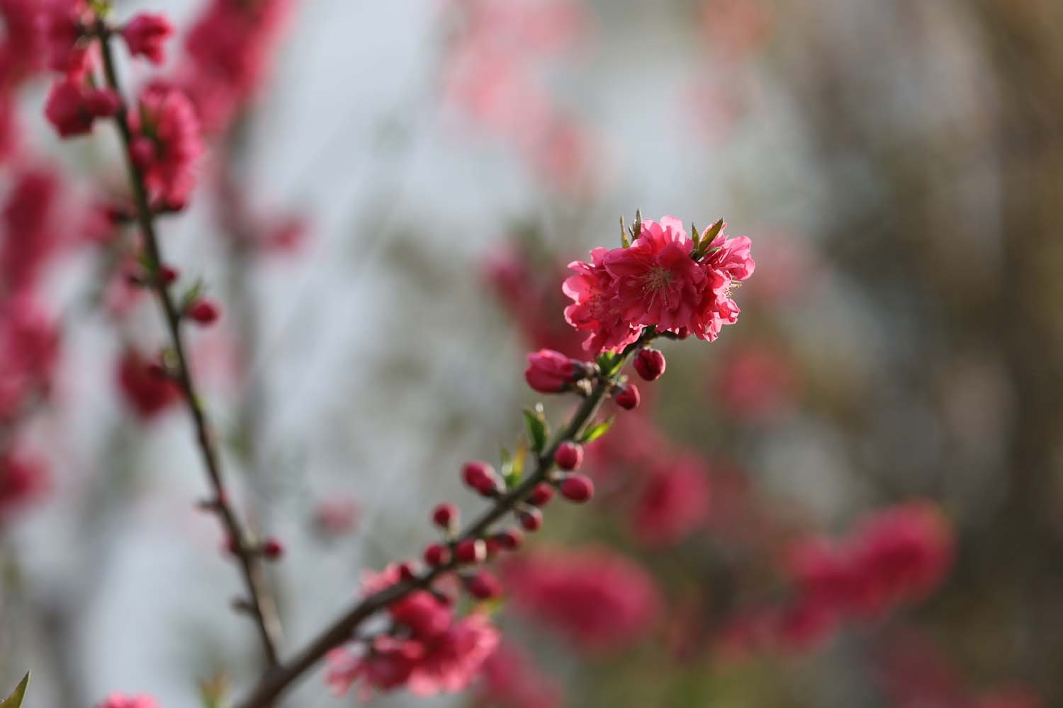 ��Ƭ 023jpg11.jpg