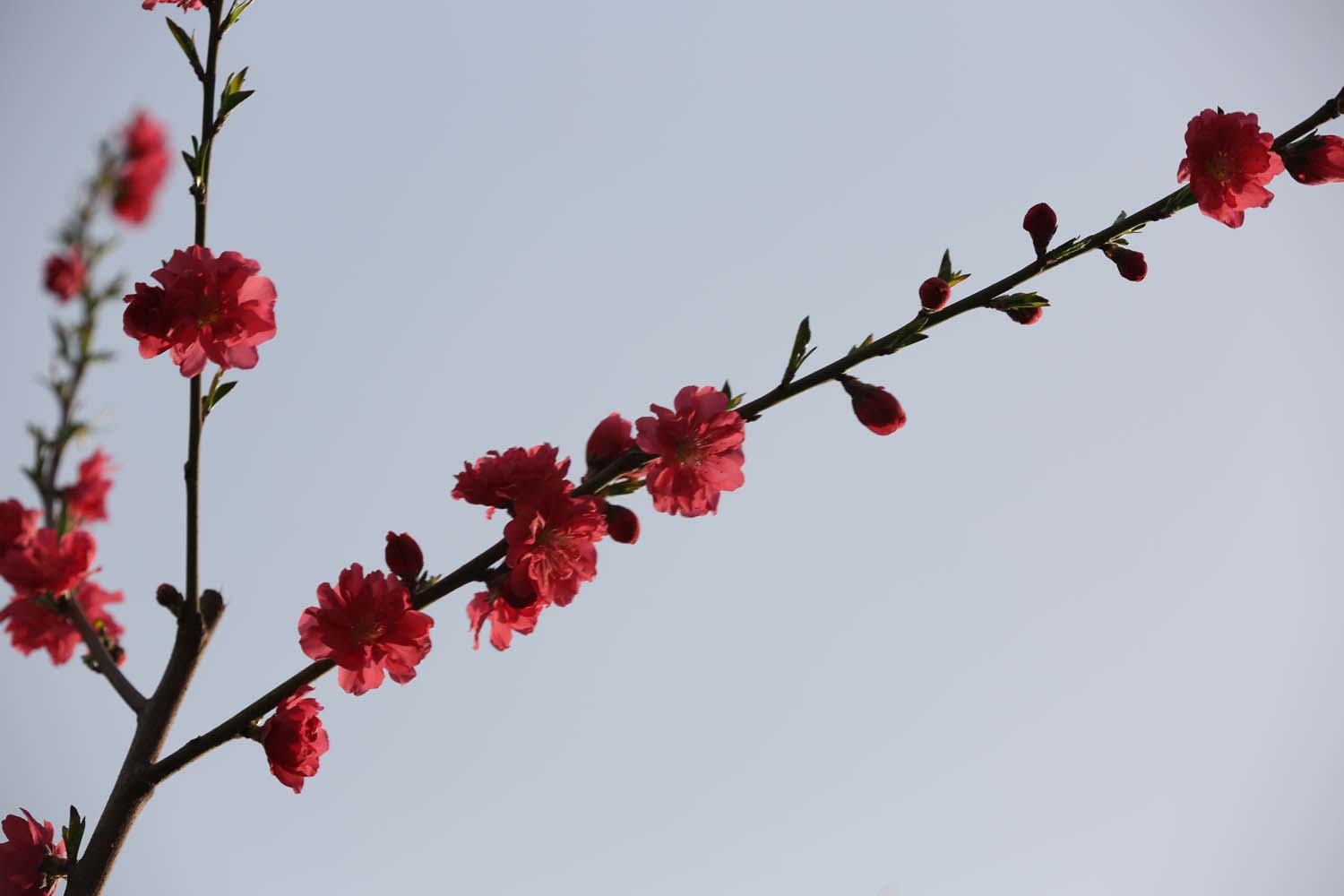 ��Ƭ 025jpg13.jpg