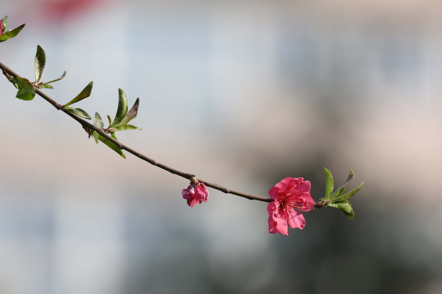 ��Ƭ 030jpg17.jpg