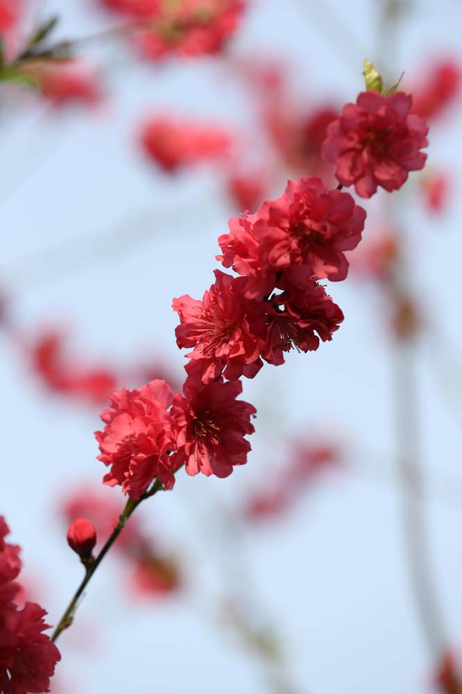 ��Ƭ 032jpg19.jpg