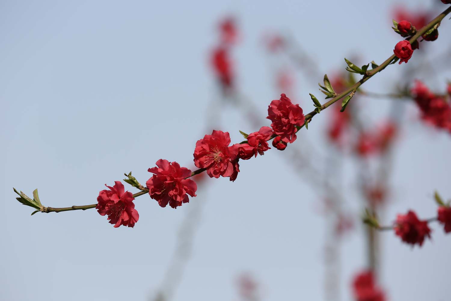 ��Ƭ 033jpg20.jpg