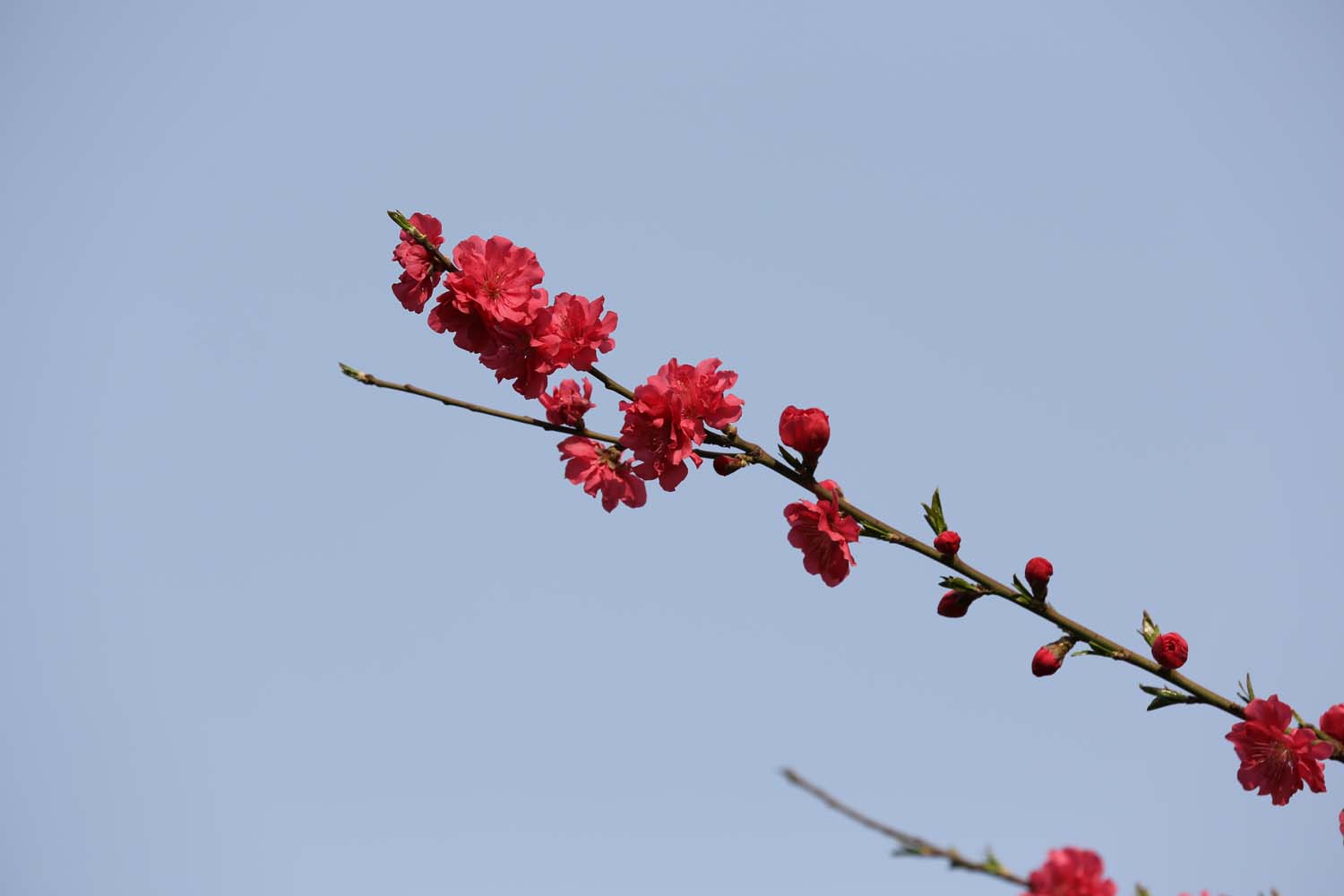 ��Ƭ 034jpg21.jpg