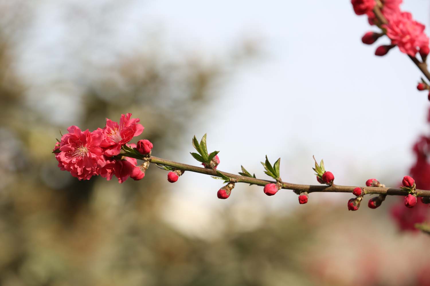 ��Ƭ 035jpg22.jpg