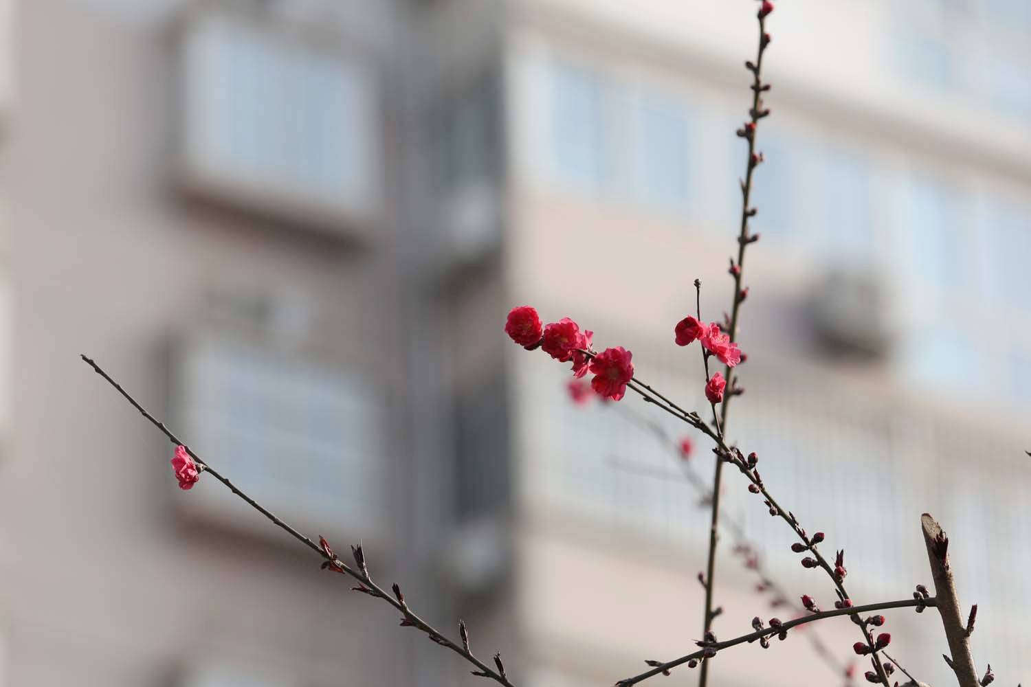 ��Ƭ 038jpg25.jpg