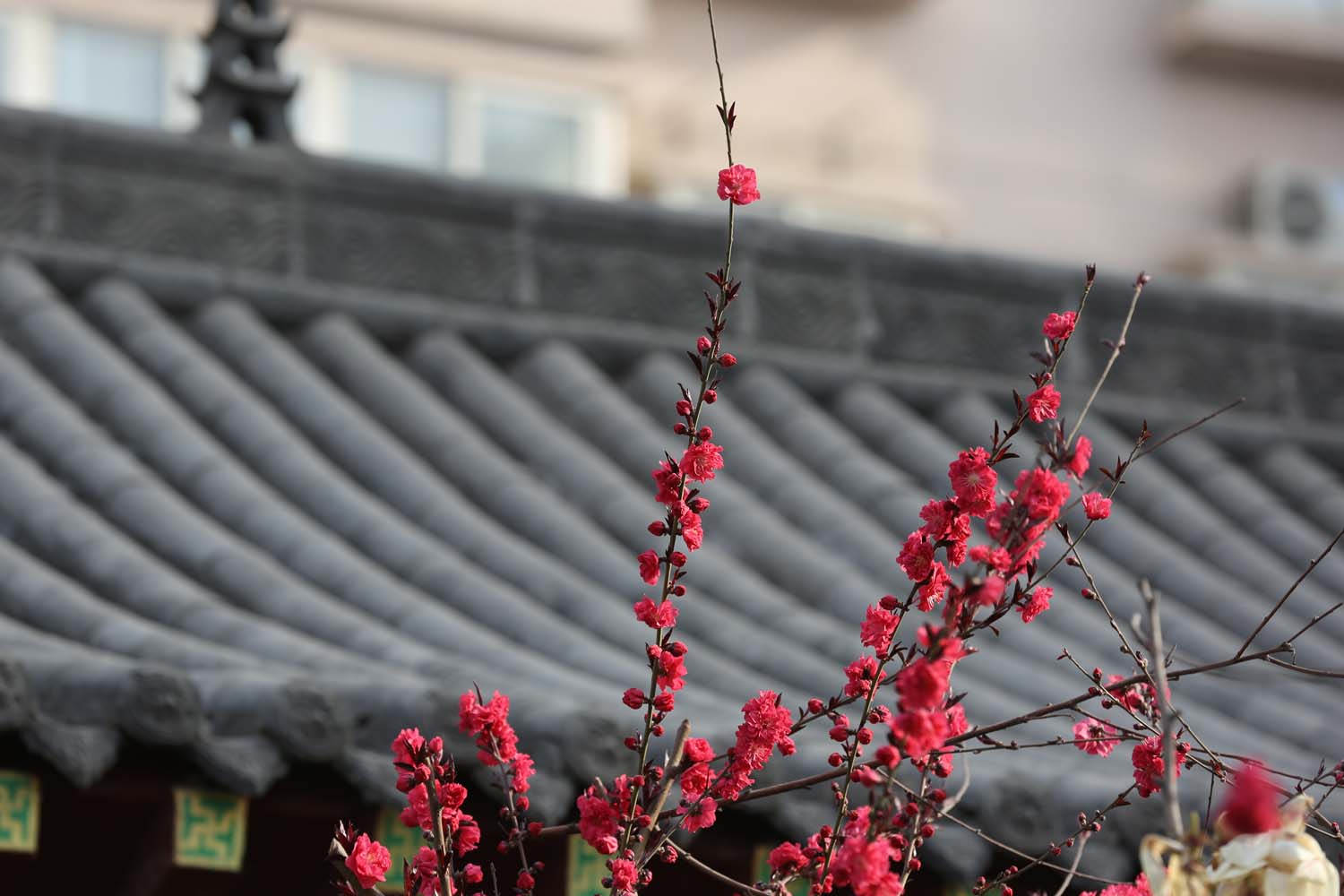 ��Ƭ 039jpg26.jpg