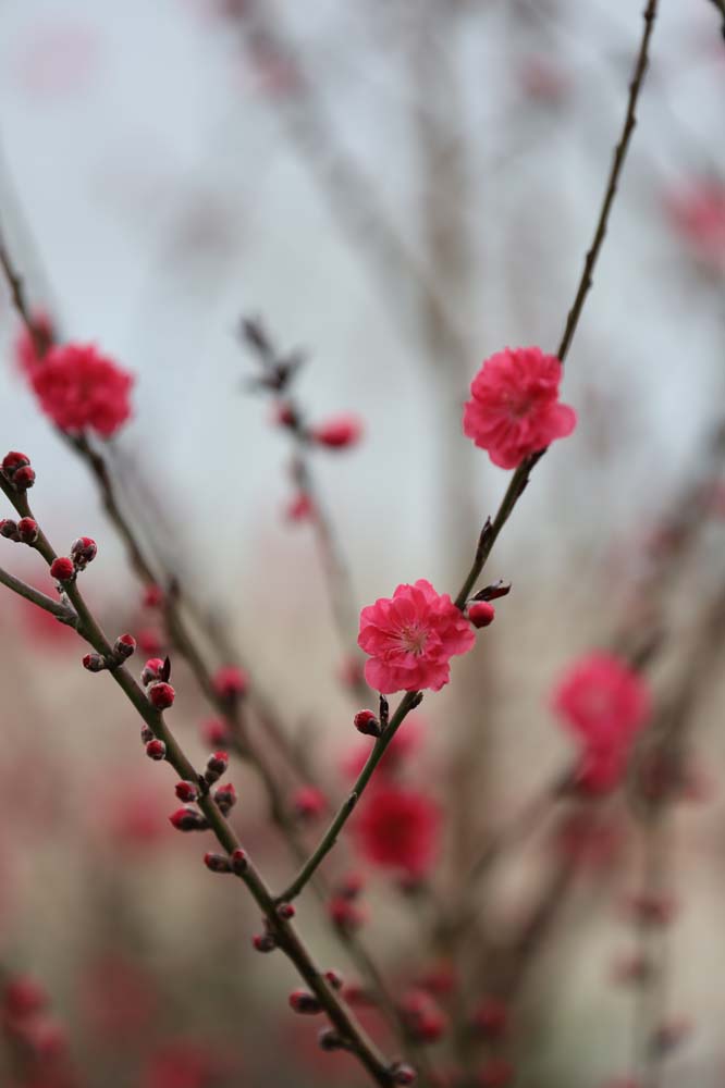 ��Ƭ 049jpg33.jpg