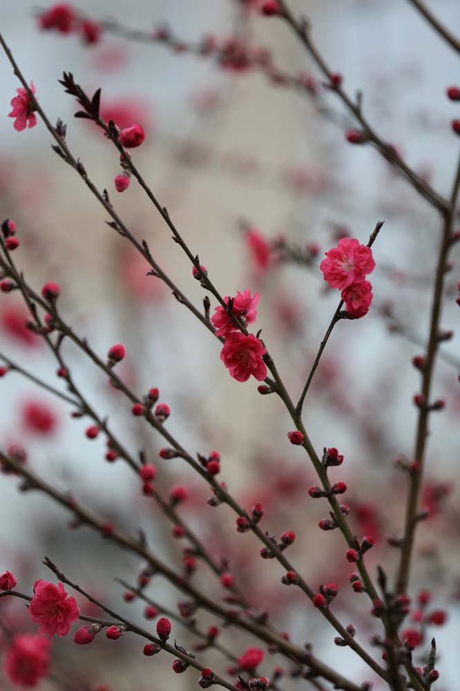 ��Ƭ 050jpg34.jpg