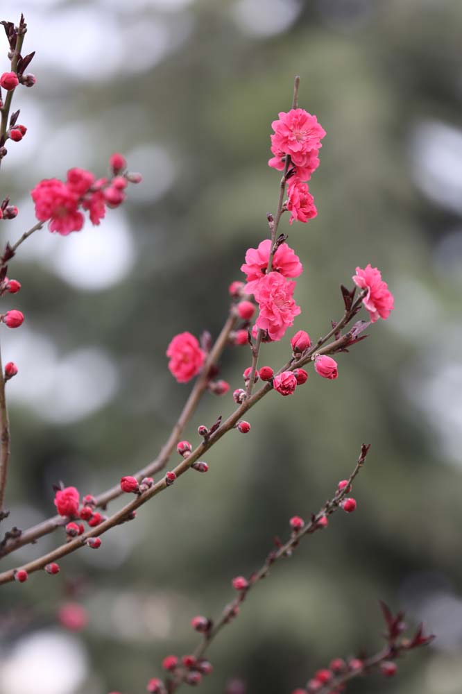 ��Ƭ 051jpg35.jpg