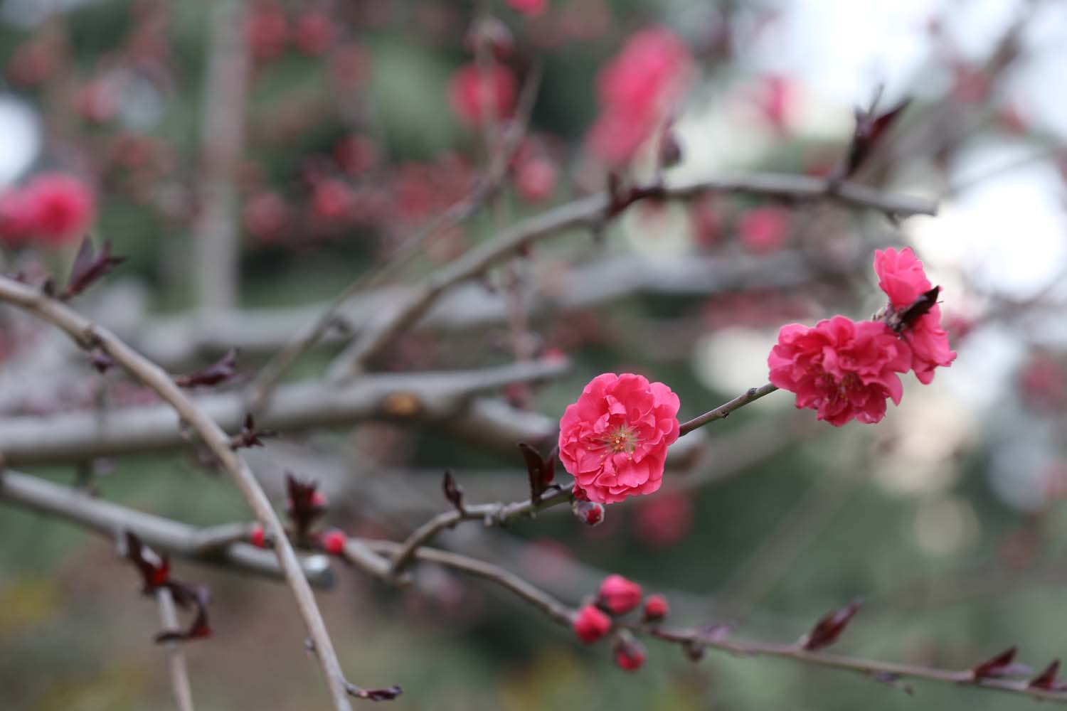 ��Ƭ 056jpg37.jpg