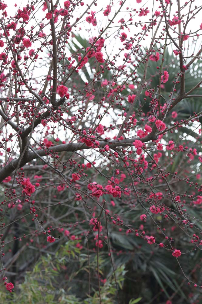 ��Ƭ 057jpg38.jpg