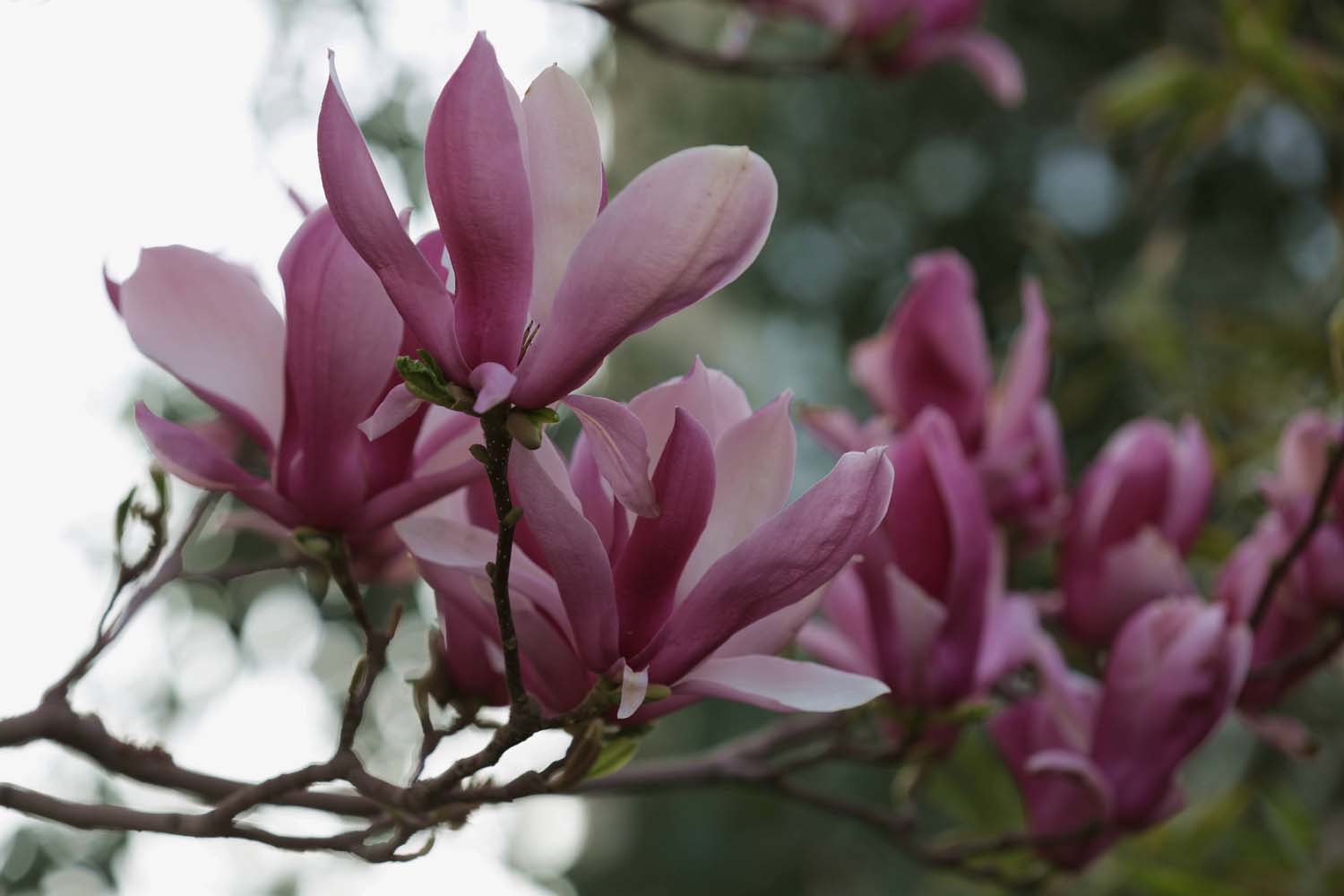 ��Ƭ 046jpg30.jpg