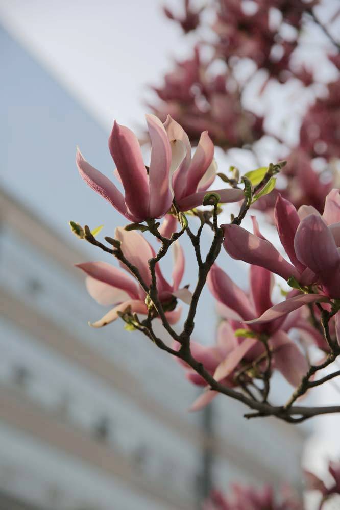 ��Ƭ 004jpg1.jpg