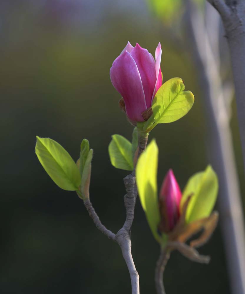 ��Ƭ 026jpg14.jpg