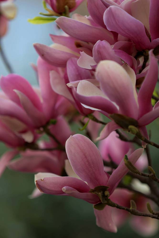 ��Ƭ 042jpg27.jpg