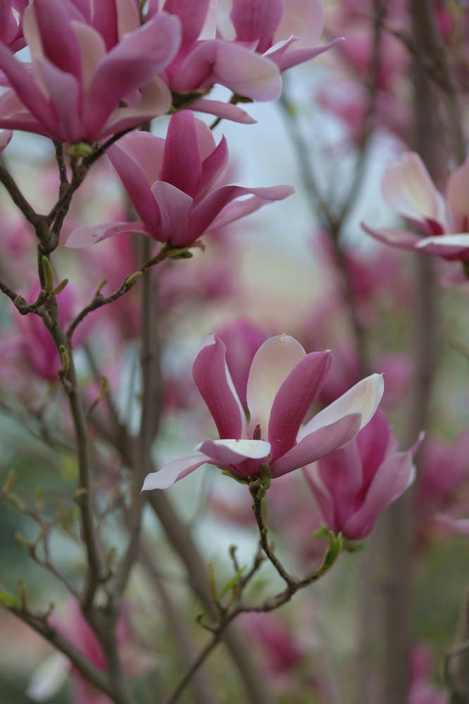 ��Ƭ 043jpg28.jpg