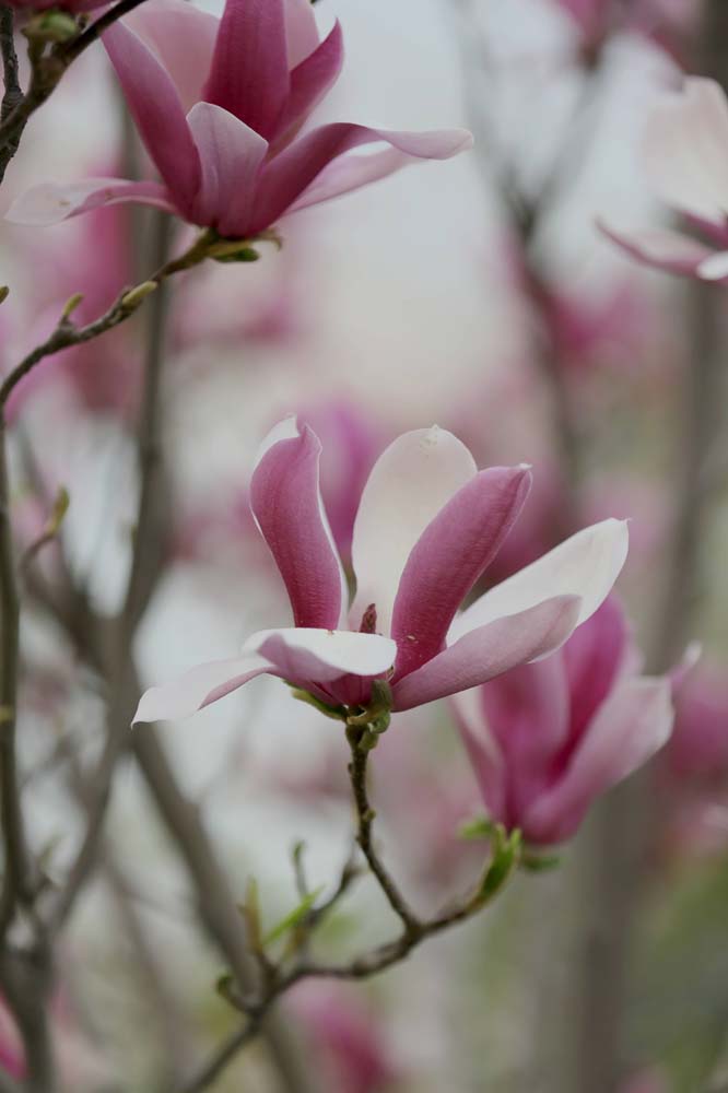 ��Ƭ 044jpg29.jpg