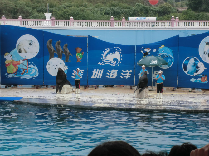 ���ں�������