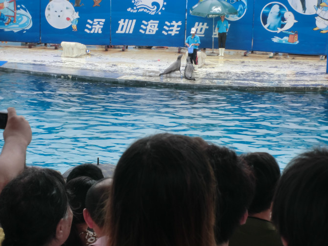 ���ں�������