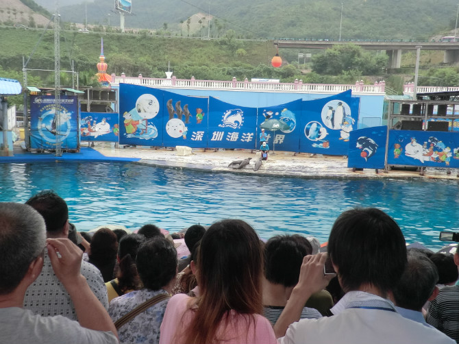 ���ں�������